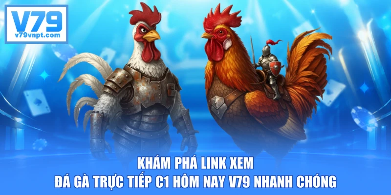 Khám phá link xem đá gà trực tiếp C1 hôm nay V79 nhanh chóng