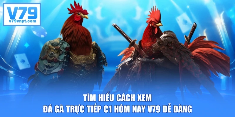 Tìm hiểu cách xem đá gà trực tiếp C1 hôm nay V79 dễ dàng